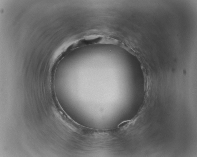 X0000053070150200508011949