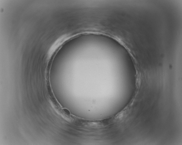 X0000053070151200508011949