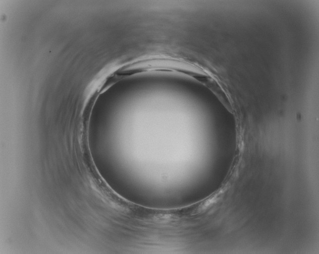 X0000053070152200508011949