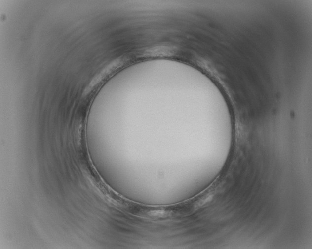 X0000053070153200508011949