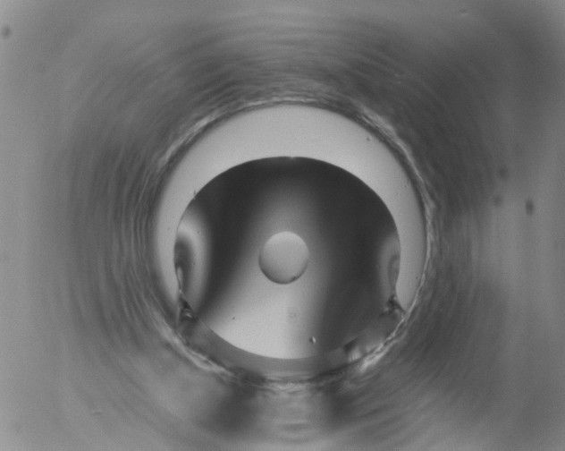 X0000053070154200508011949