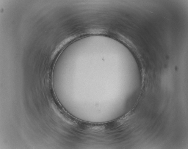 X0000053070155200508011949