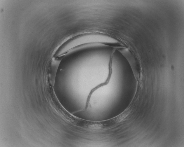 X0000053070156200508011949