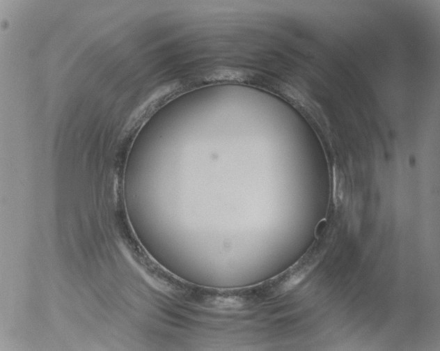 X0000053070157200508011949