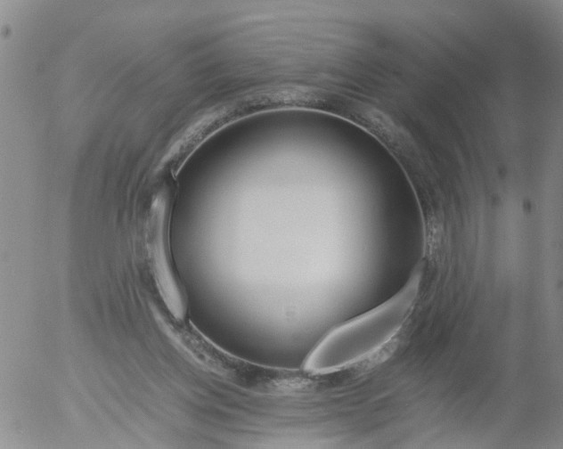 X0000053070158200508011949