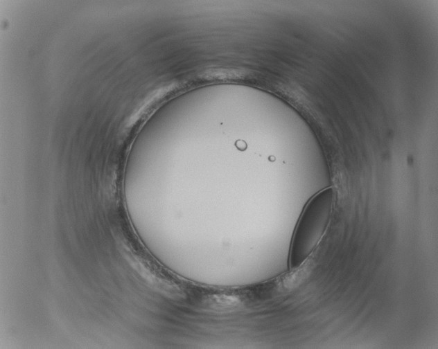 X0000053070159200508011949