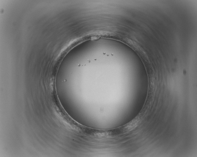 X0000053070160200508011949