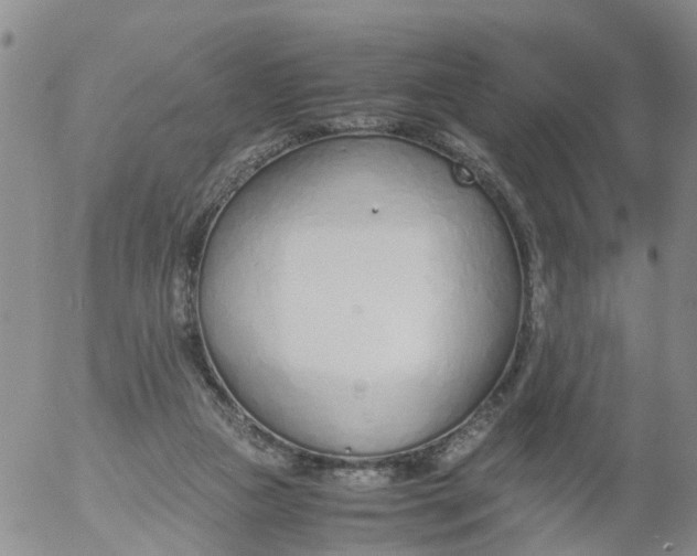 X0000053070161200508011949