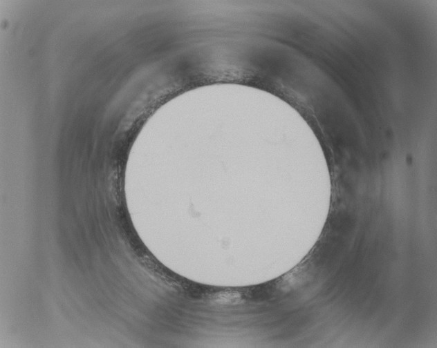 X0000053070162200508011949