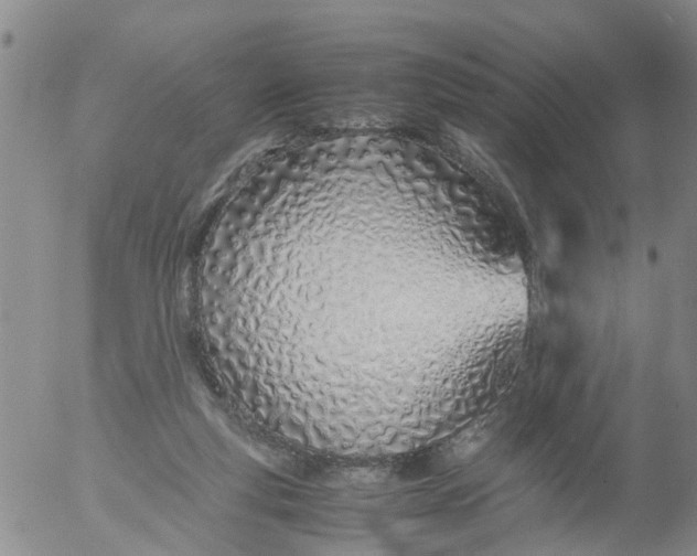 X0000053070163200508011949