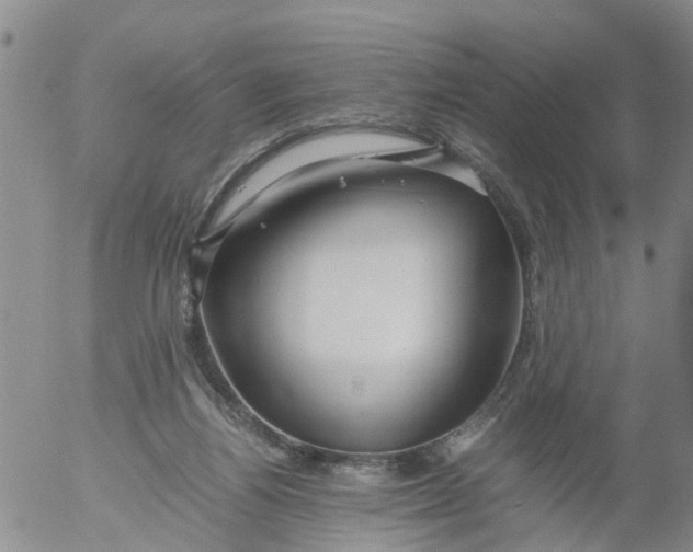 X0000053070164200508011949