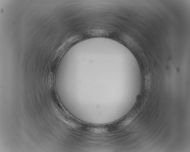 X0000053070165200508011949