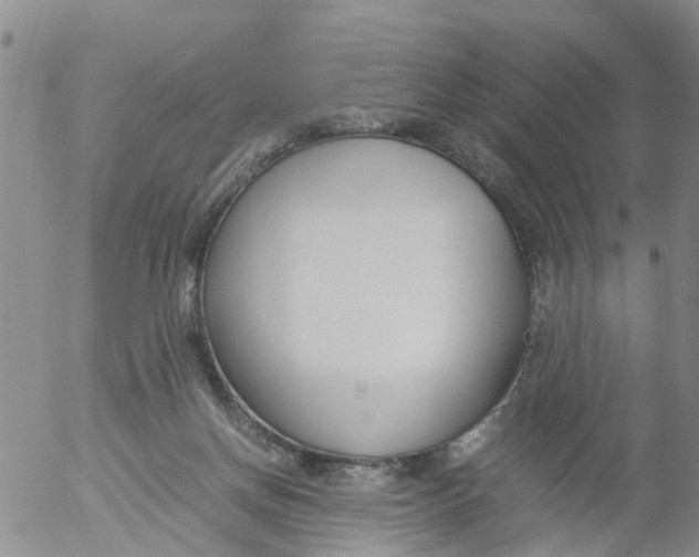 X0000053070166200508011949