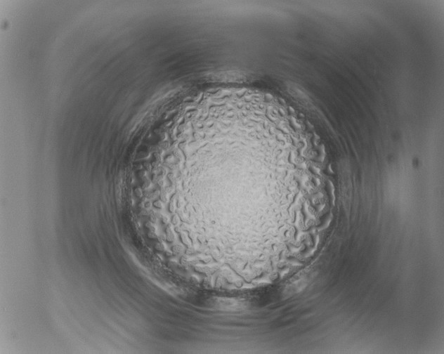 X0000053070167200508011949