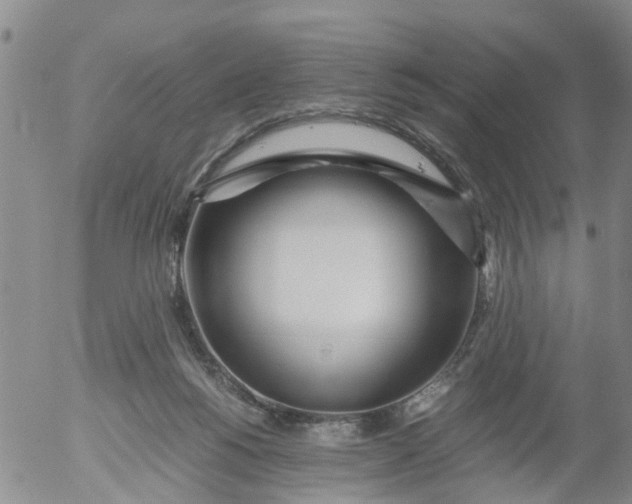 X0000053070168200508011949