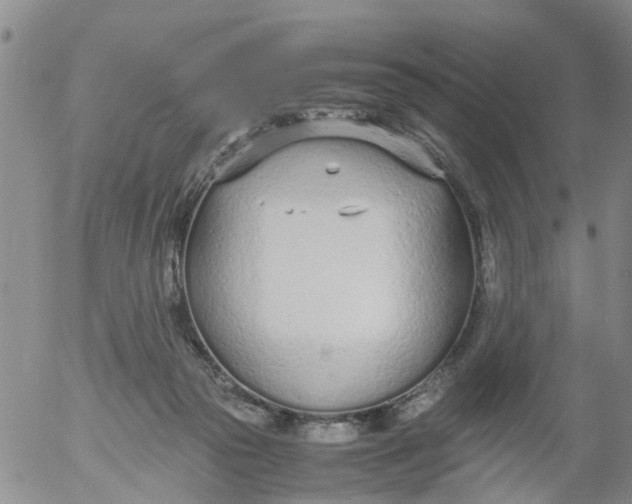 X0000053070169200508011949