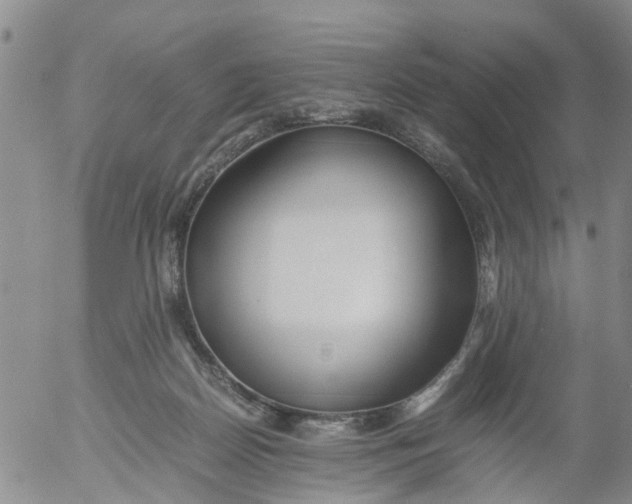 X0000053070170200508011949