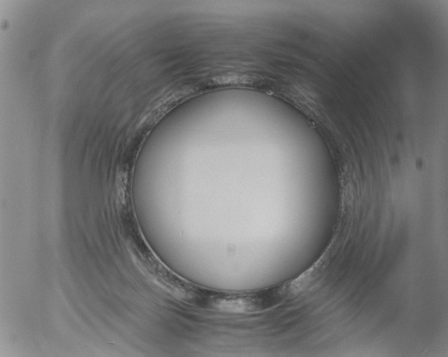 X0000053070171200508011949