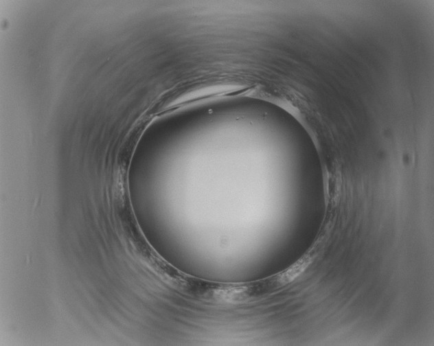 X0000053070172200508011949