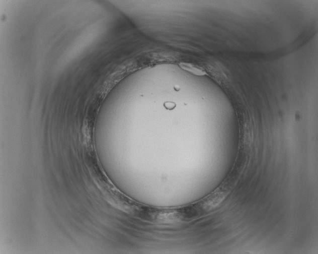 X0000053070173200508011949