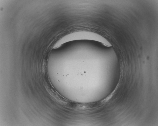 X0000053070174200508011949