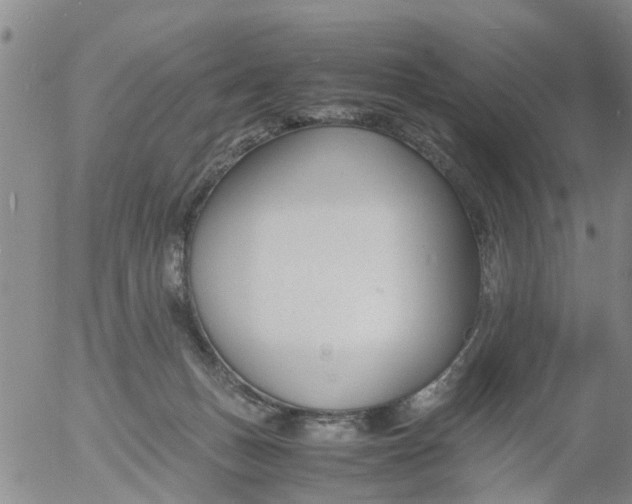 X0000053070175200508011949