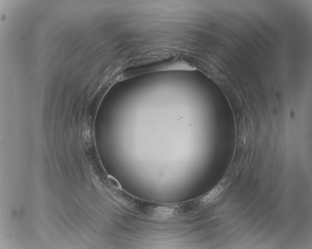 X0000053070176200508011949