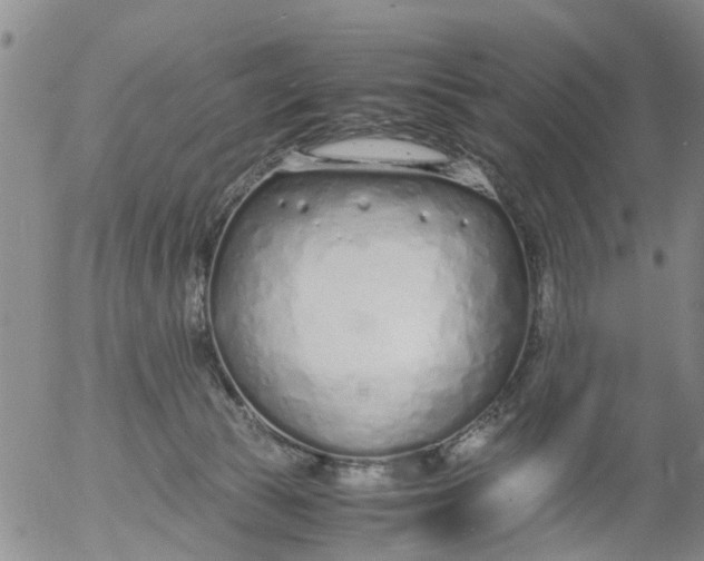 X0000053070177200508011949