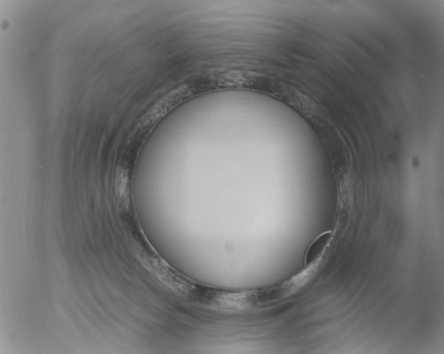 X0000053070178200508011949