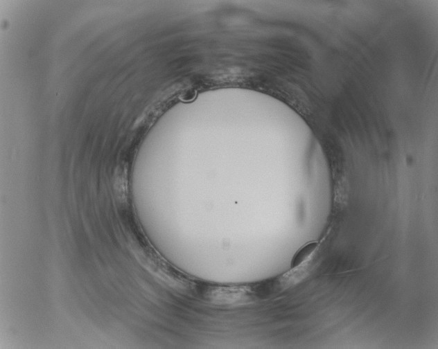 X0000053070179200508011949