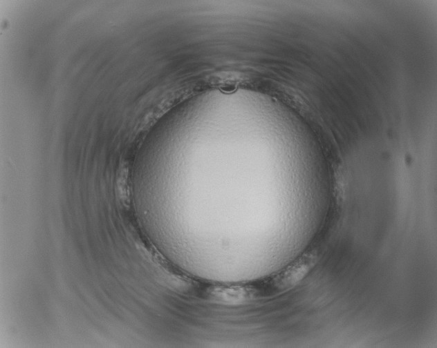 X0000053070181200508011949