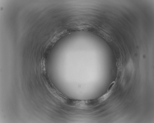 X0000053070182200508011949