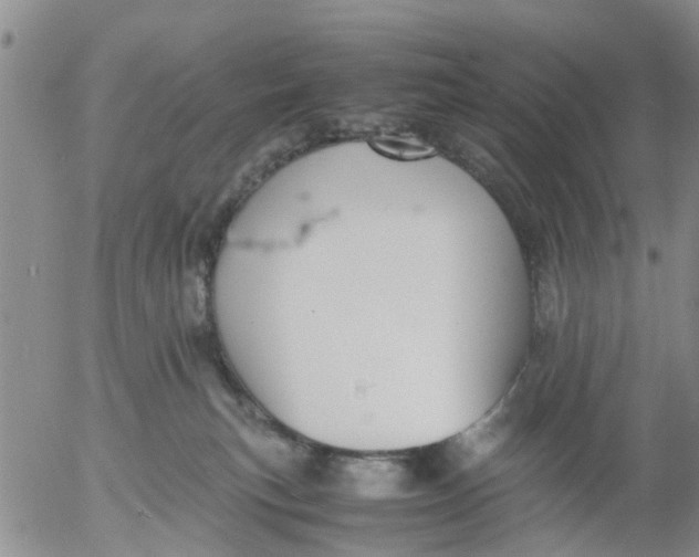 X0000053070183200508011949