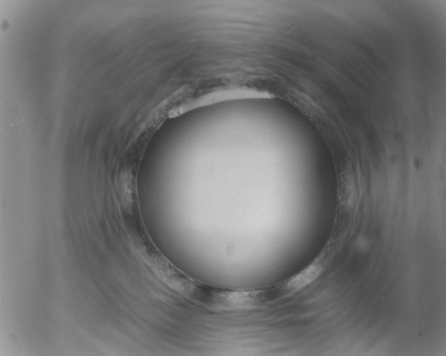 X0000053070184200508011950