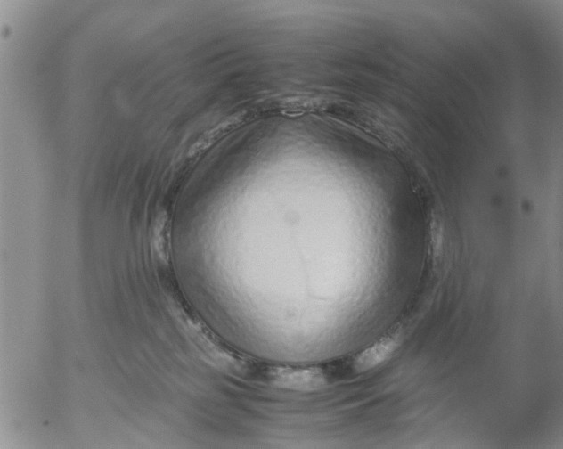 X0000053070185200508011950