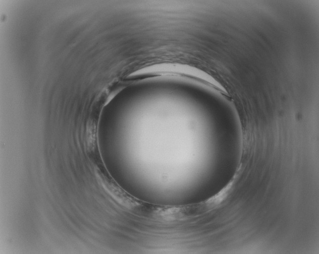 X0000053070186200508011950