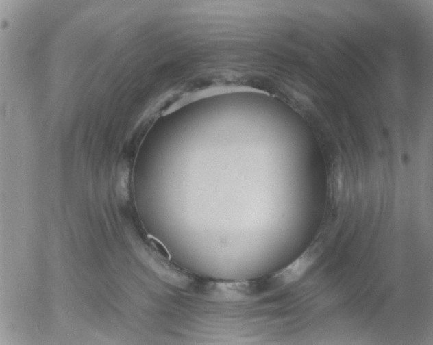 X0000053070188200508011950