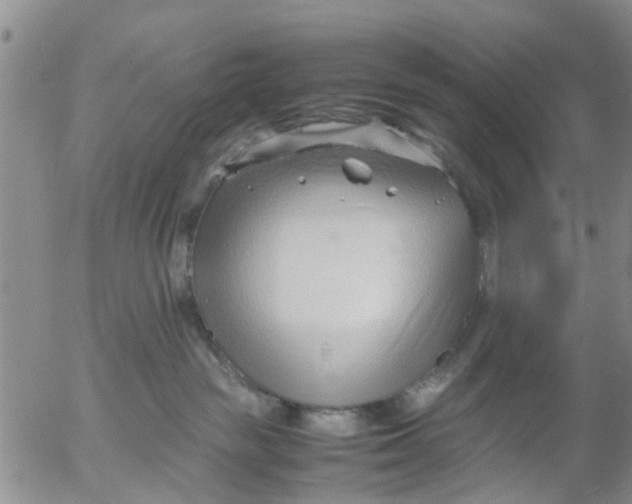 X0000053070189200508011950