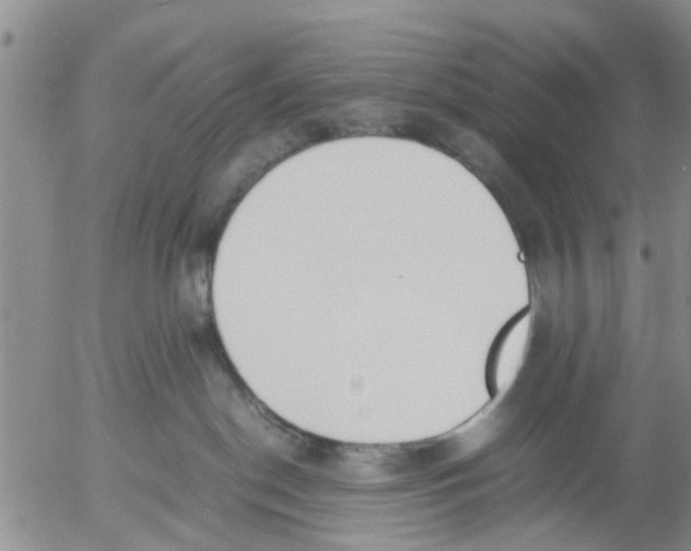 X0000053070190200508011950