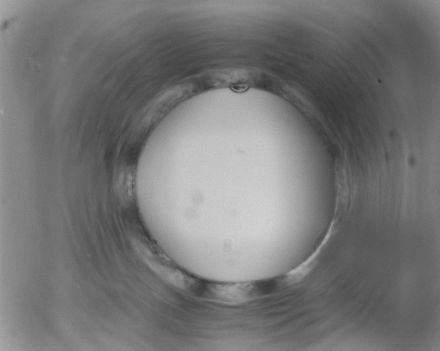 X0000053070191200508011950