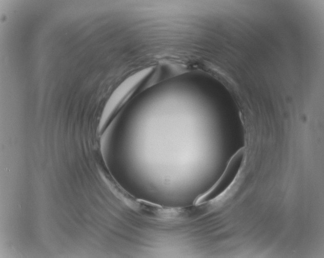 X0000053070192200508011950