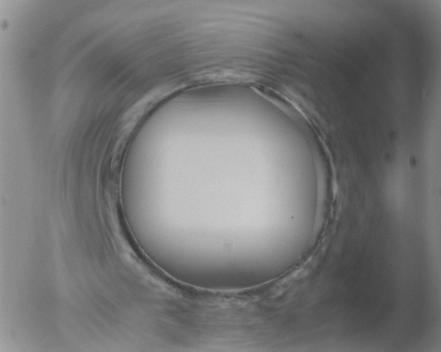 X0000053070193200508011949