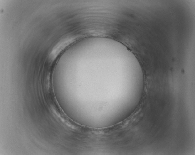 X0000053070194200508011949