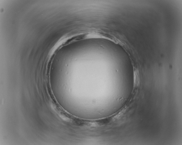 X0000053070195200508011949