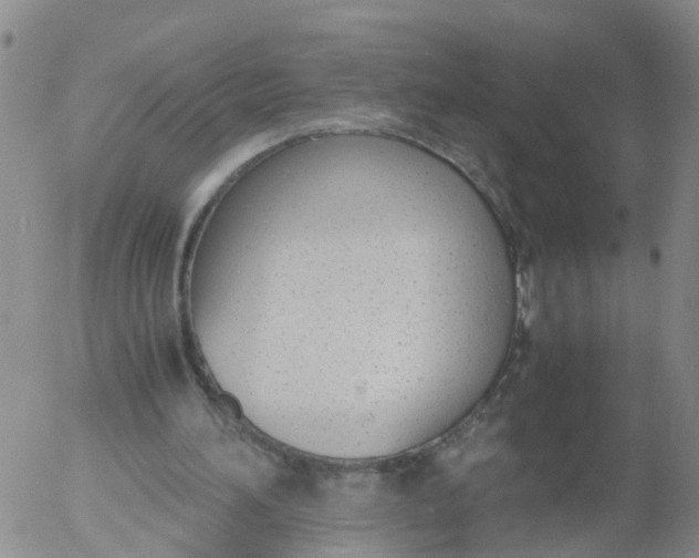 X0000053070196200508011949