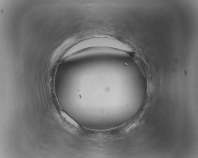 X0000053070197200508011949