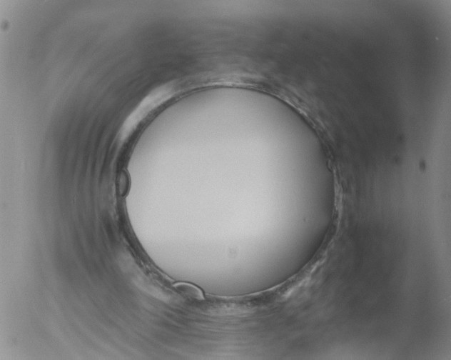 X0000053070198200508011949