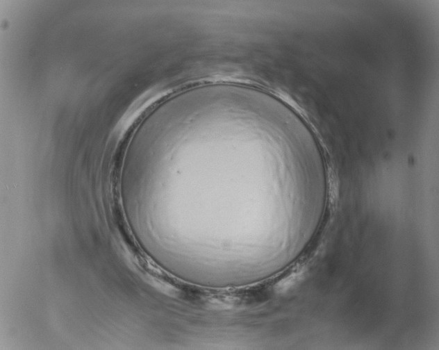 X0000053070199200508011949