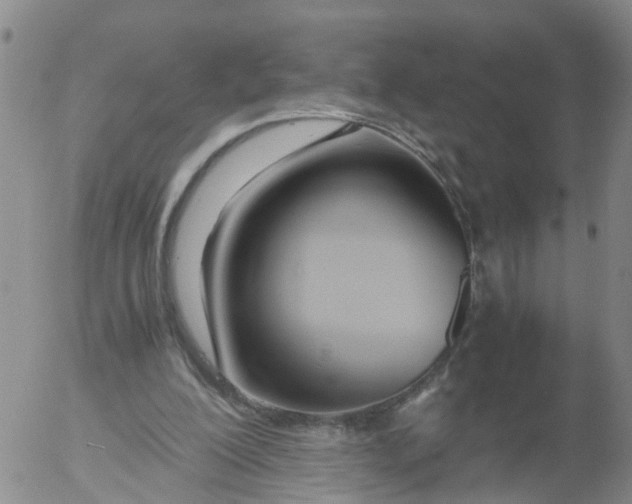 X0000053070200200508011949