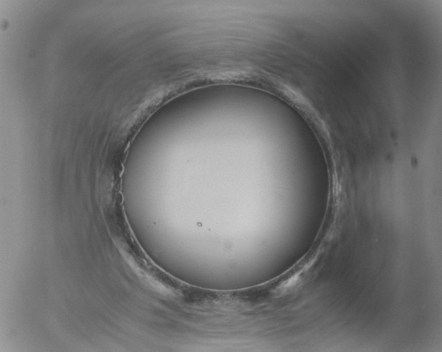 X0000053070201200508011949